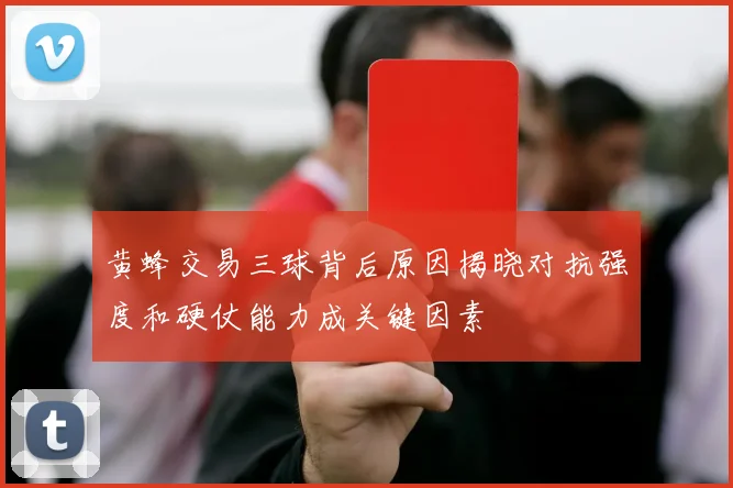 黄蜂交易三球背后原因揭晓对抗强度和硬仗能力成关键因素